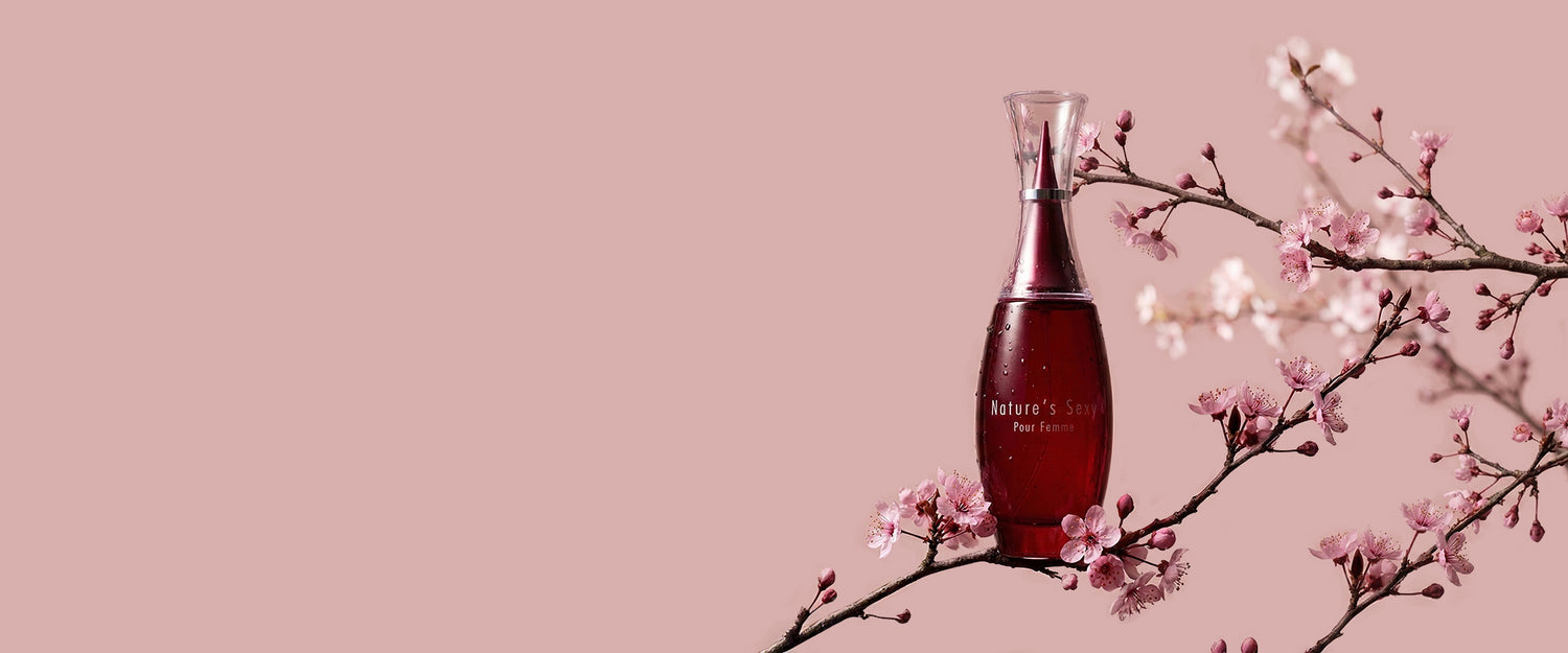 ilSole Cosmetici & Profumi